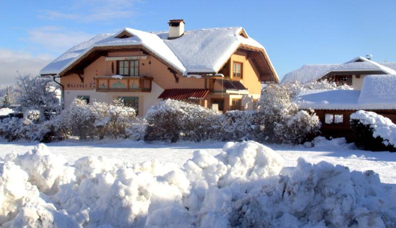 Ferienwohnung Galerie 7 Riegersdorf Dış mekan fotoğraf